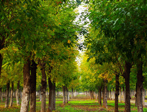 大型石化企業(yè)消防設(shè)備更新工程